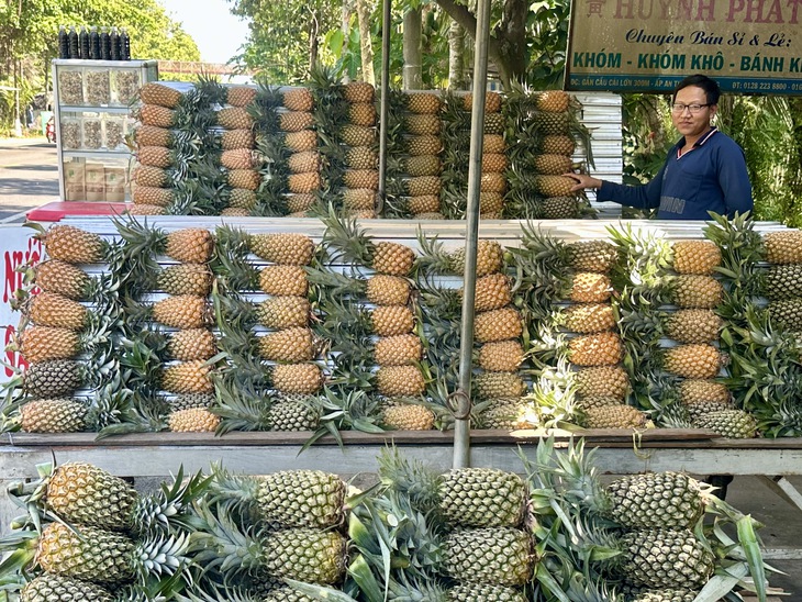 Cận Tết, giá khóm tăng vì nguồn cung thấp - Ảnh 4.