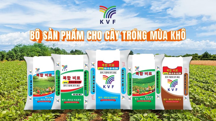 Phân bón Hàn-Việt - Ảnh 2.