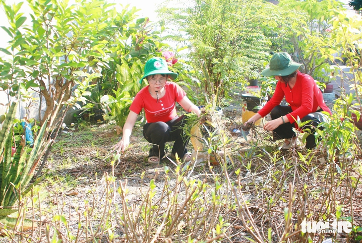 mảng xanh - Ảnh 8.