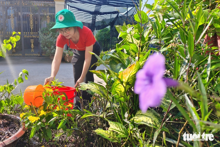 mảng xanh - Ảnh 9.