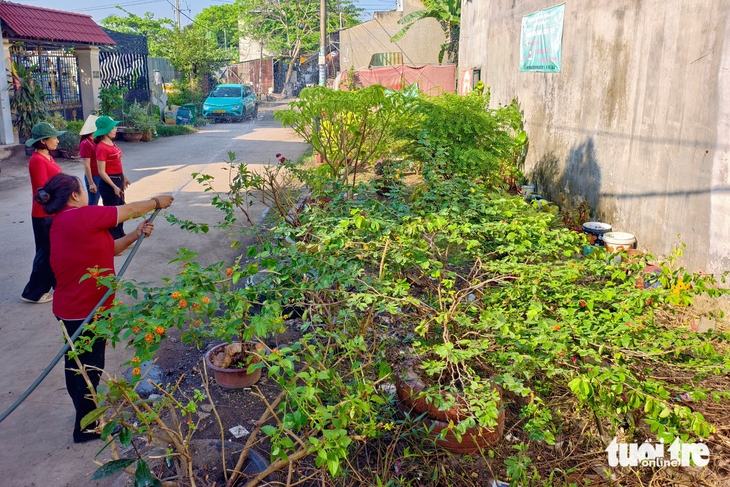 mảng xanh - Ảnh 10.