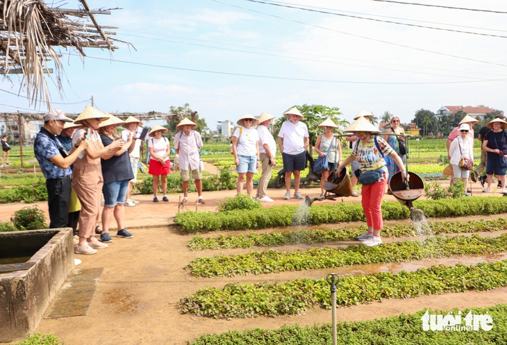 làng rau - Ảnh 2.
