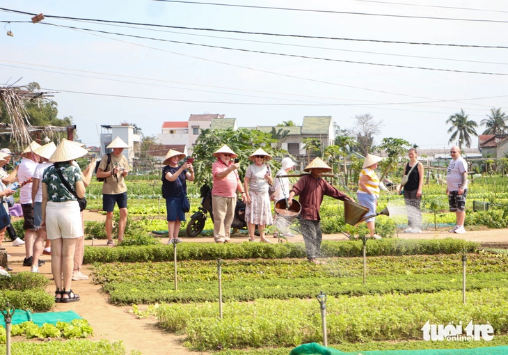 làng rau - Ảnh 7.