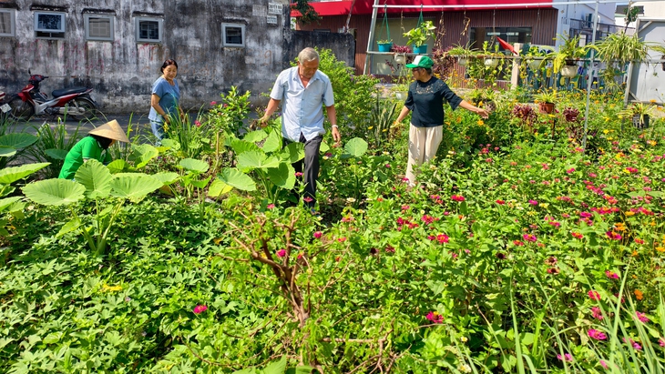 mảng xanh - Ảnh 5.