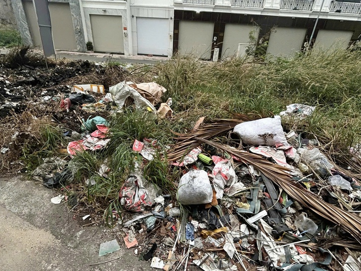 mảng xanh - Ảnh 2.