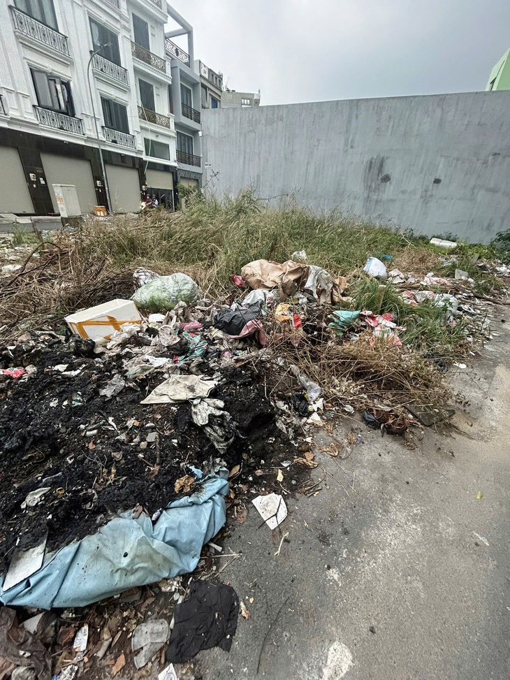 mảng xanh - Ảnh 3.