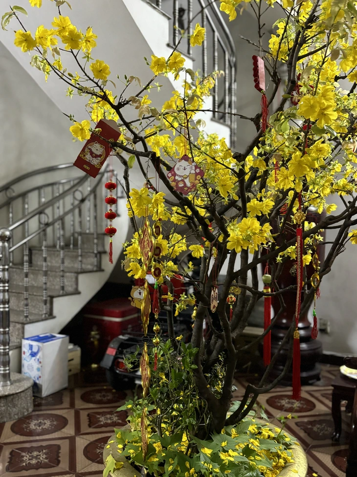 Ba sẽ về theo làn gió xuân - Ảnh 2.