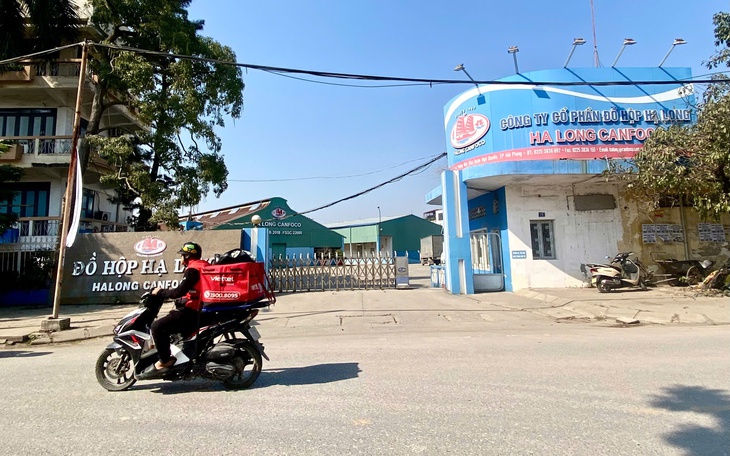 Vụ heo bệnh ở Công ty đồ hộp Hạ Long: Ba năm kiểm tra nhưng không phát hiện vi phạm - Ảnh 3.