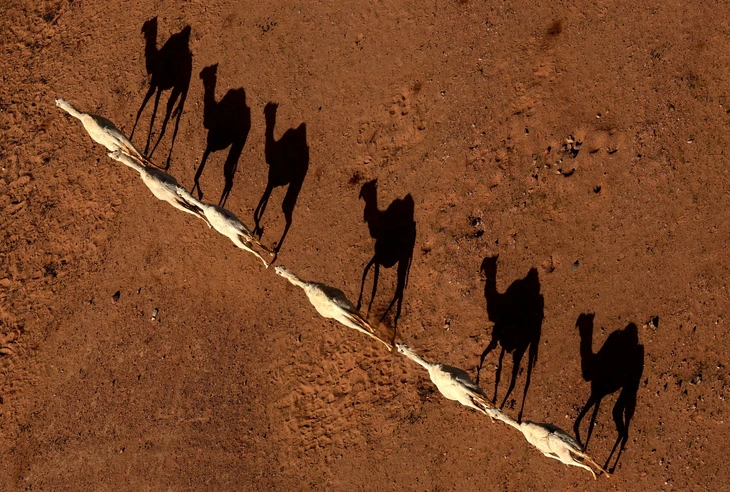 Tin tức thế giới 14-1: - Ảnh 1.