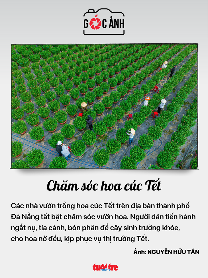 nhà ở xã hội - Ảnh 5.