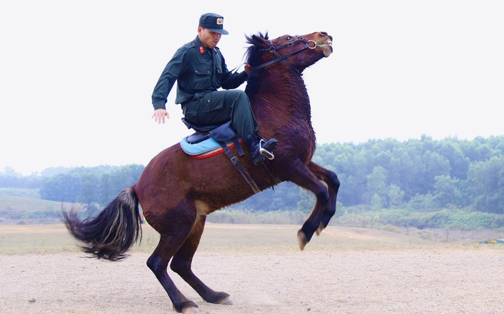 Ngựa nhanh đến mức nào? Sự thật phía sau những cú nước rút hơn 70km/h - Ảnh 5.