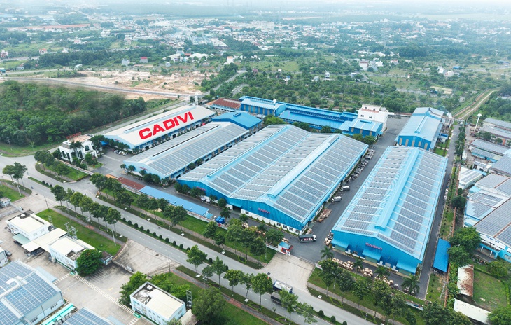 CADIVI - Ảnh 3.