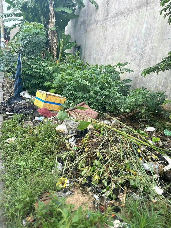 mảng xanh - Ảnh 6.