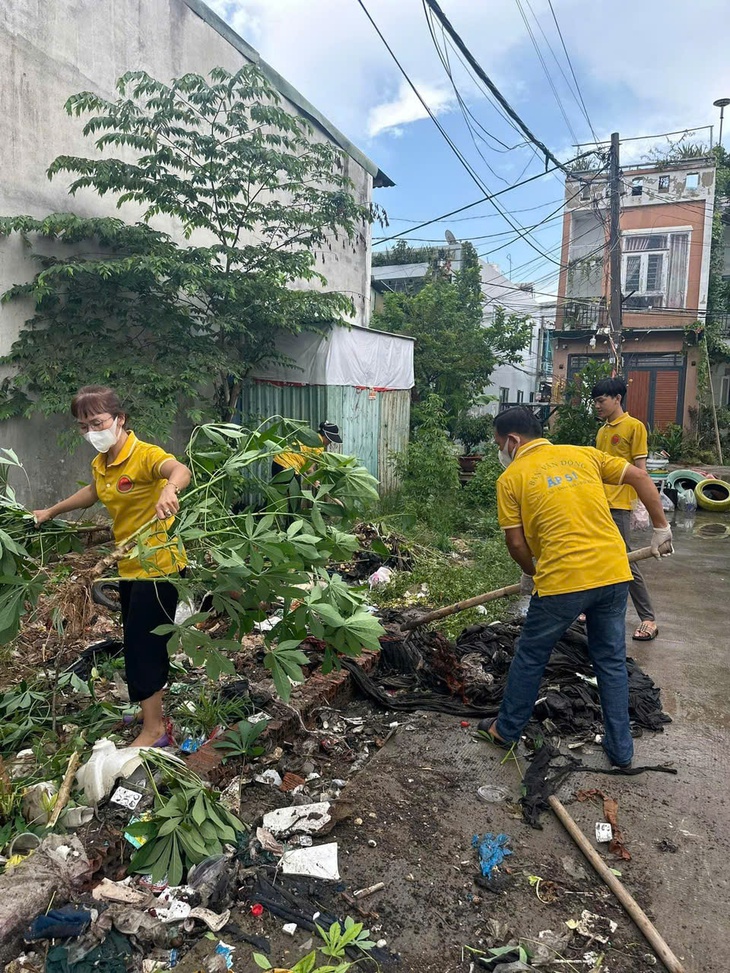 mảng xanh - Ảnh 7.