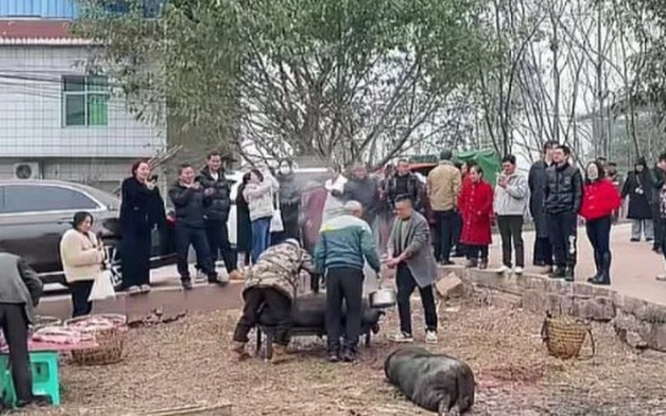 Hứa thưởng xe hơi, nữ CEO Trung Quốc mất hút sau khi đội bóng vô địch - Ảnh 4.