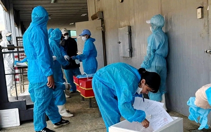 Kích hoạt luật để chống thực phẩm bẩn - Ảnh 1.