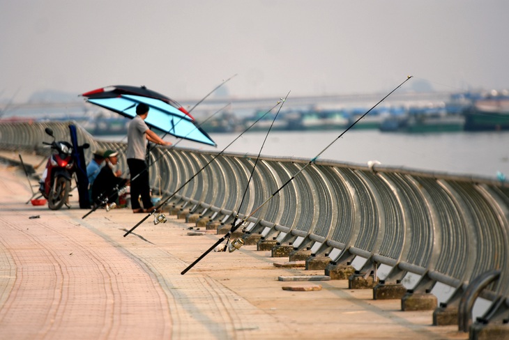 đường ven sông - Ảnh 10.