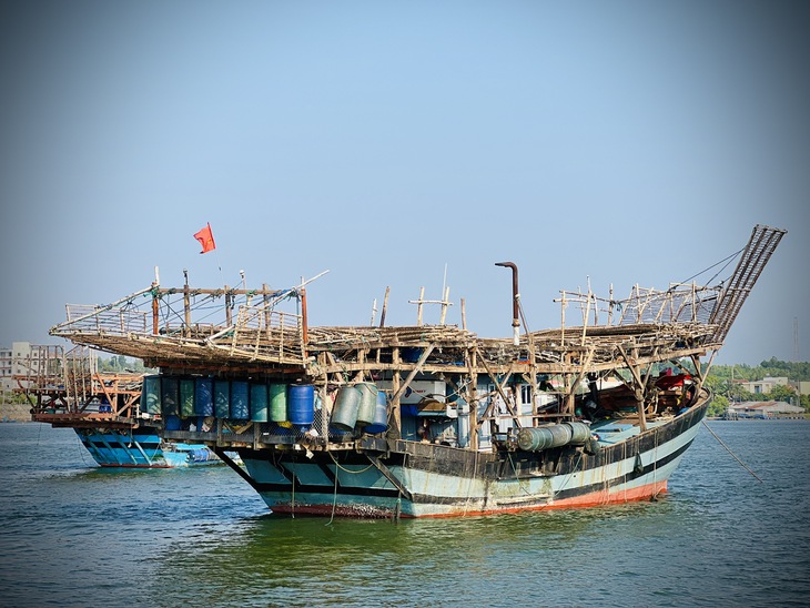 mực khô - Ảnh 2.