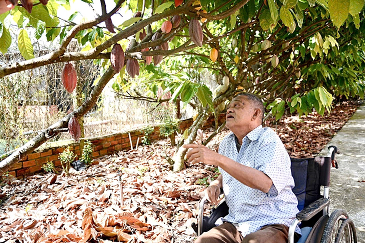 sô cô la - Ảnh 2.