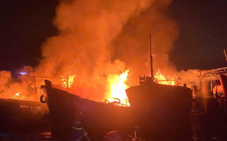 Đồng Tháp hỗ trợ ngư dân chuyển đổi nghề với mức cao nhất 350 triệu đồng mỗi tàu cá - Ảnh 2.