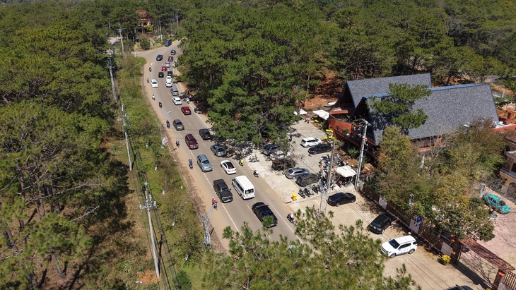 măng đen - Ảnh 1.