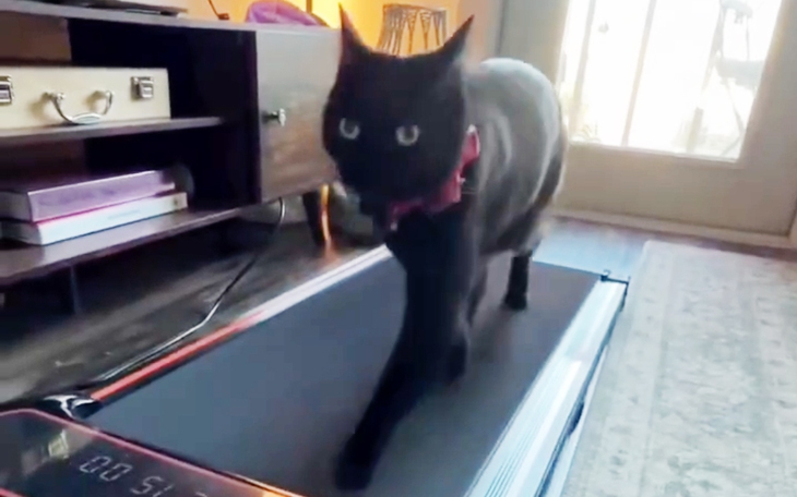 Nhiều CLB hàng đầu thế giới 'gọi tên' Nguyễn Đình Bắc - Ảnh 4.