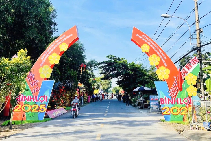 mai vàng - Ảnh 2.