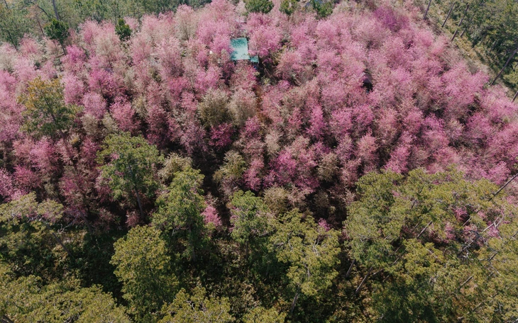 Chuỗi lễ hội, hoạt động hấp dẫn năm 2026 tại Đắk Lắk, đặc biệt có lễ hội cá ngừ  - Ảnh 3.