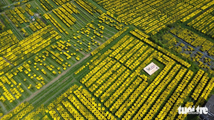 chợ lách - Ảnh 6.