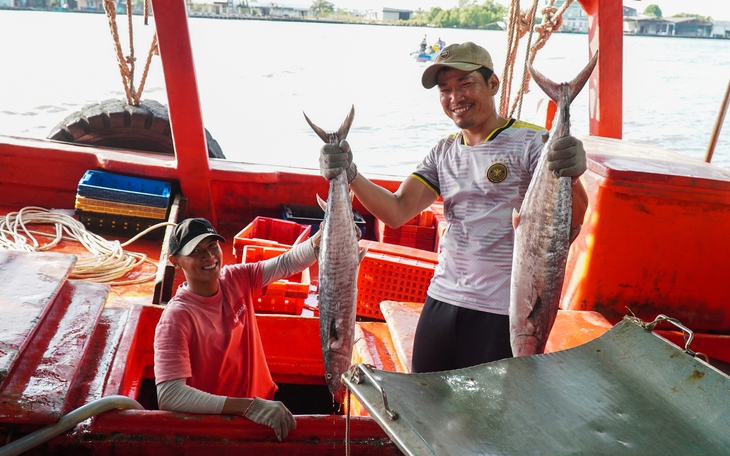 Đồng Tháp hỗ trợ ngư dân chuyển đổi nghề với mức cao nhất 350 triệu đồng mỗi tàu cá - Ảnh 3.