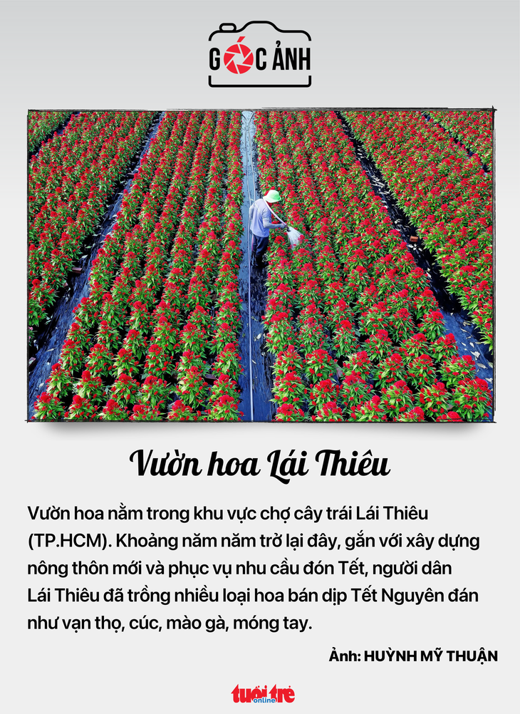 tin tức - Ảnh 7.