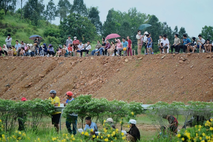 Liên đoàn Ngựa - Ảnh 6.