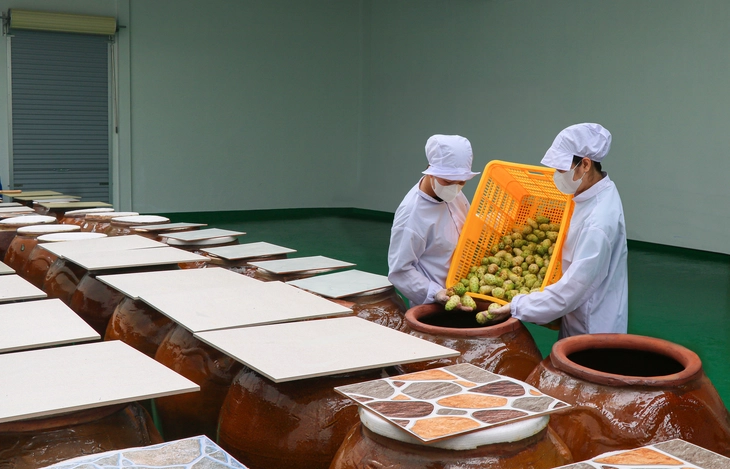 BỎ PHỐ VỀ QUÊ - Ảnh 4.