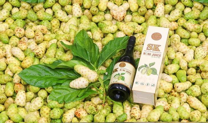 BỎ PHỐ VỀ QUÊ - Ảnh 6.