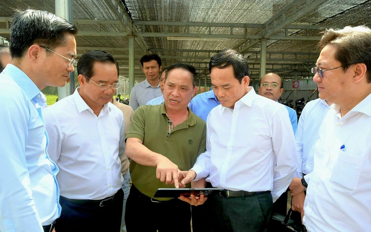 Đến chợ phiên, lên chợ mạng tìm hàng sạch, xanh ăn Tết - Ảnh 2.