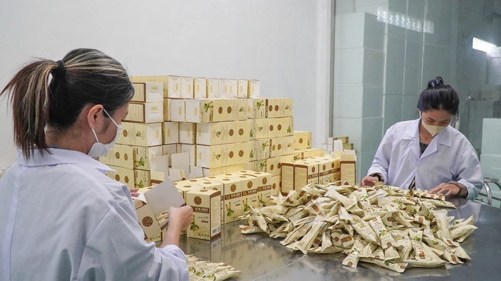 BỎ PHỐ VỀ QUÊ - Ảnh 5.