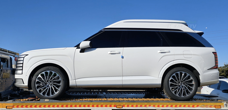 Hyundai Palisade - Ảnh 1.