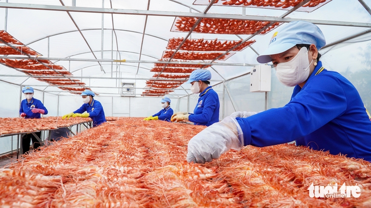 TÔM KHÔ - Ảnh 3.