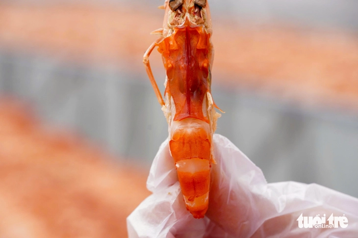 TÔM KHÔ - Ảnh 4.