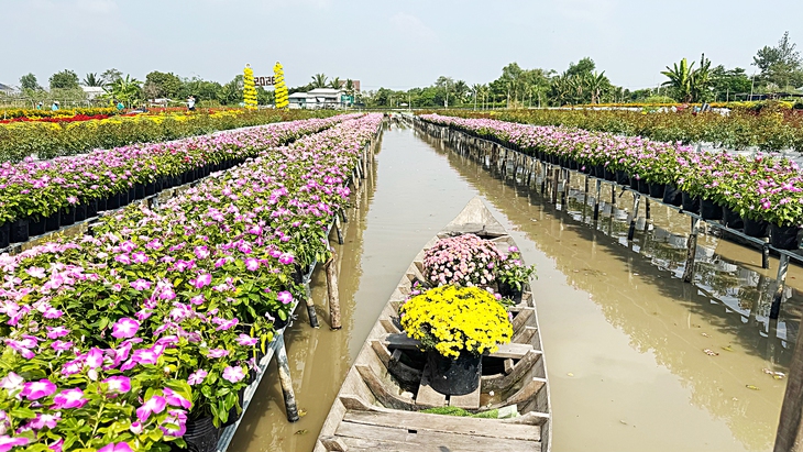 hoa Sa Đéc - Ảnh 2.