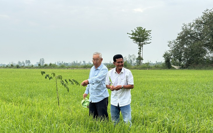 Đại biểu đặt niềm tin và kỳ vọng vào thành công của Đại hội XIV của Đảng - Ảnh 4.