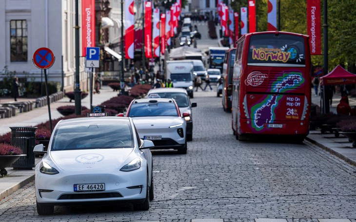 Việt Nam, Na Uy mở rộng thương mại 'xanh' - Ảnh 2.