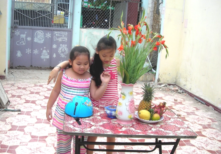 mái nhà - Ảnh 3.