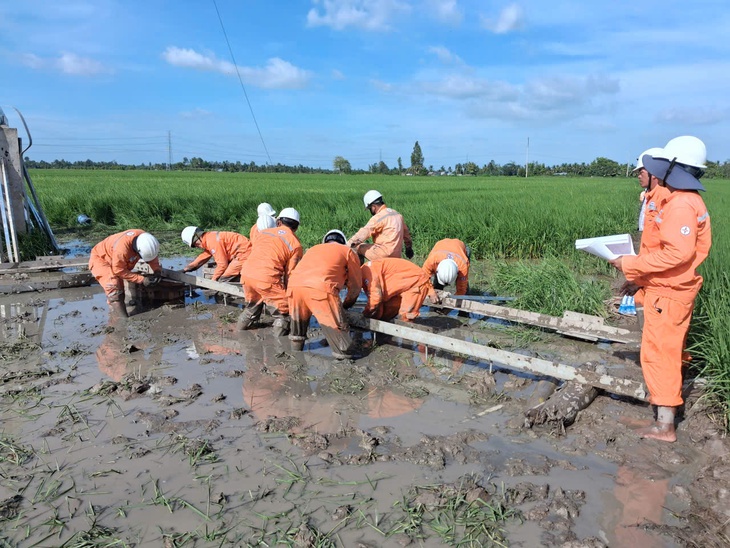 Đầu tư xây dựng lưới điện năm 2025: EVNSPC về đích vượt chỉ tiêu - Ảnh 6.