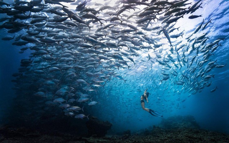 Du lịch Malaysia bày thêm 'món mới' đợi khách Việt - Ảnh 3.