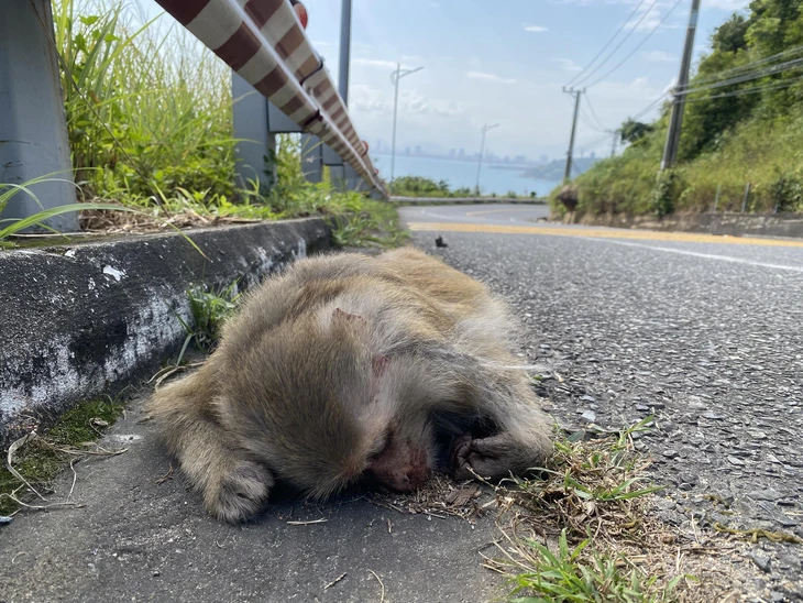 Người chuối - Ảnh 3.