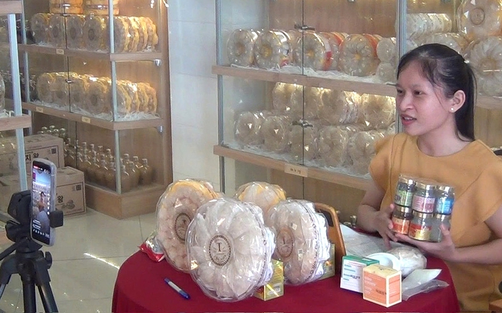 Rộn ràng chụp ảnh Tết sớm - Ảnh 2.