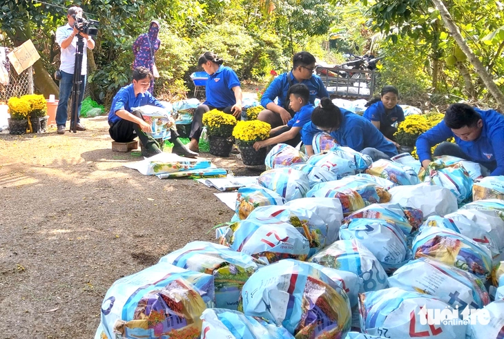 cúc mâm xôi - Ảnh 4.