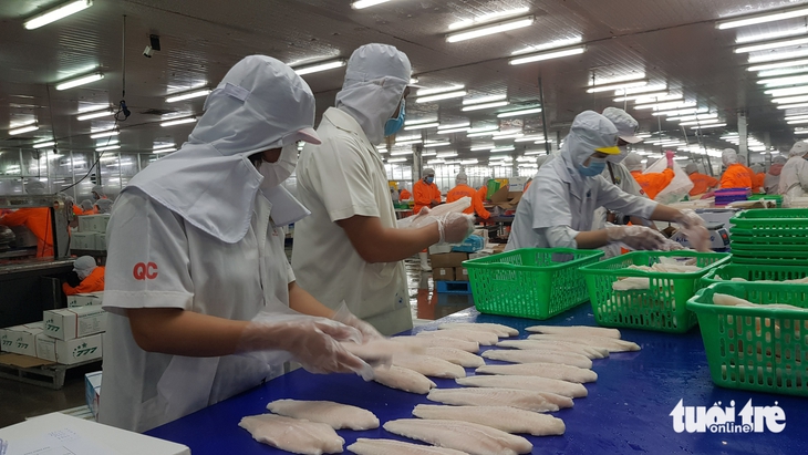 giá cá tra - Ảnh 5.