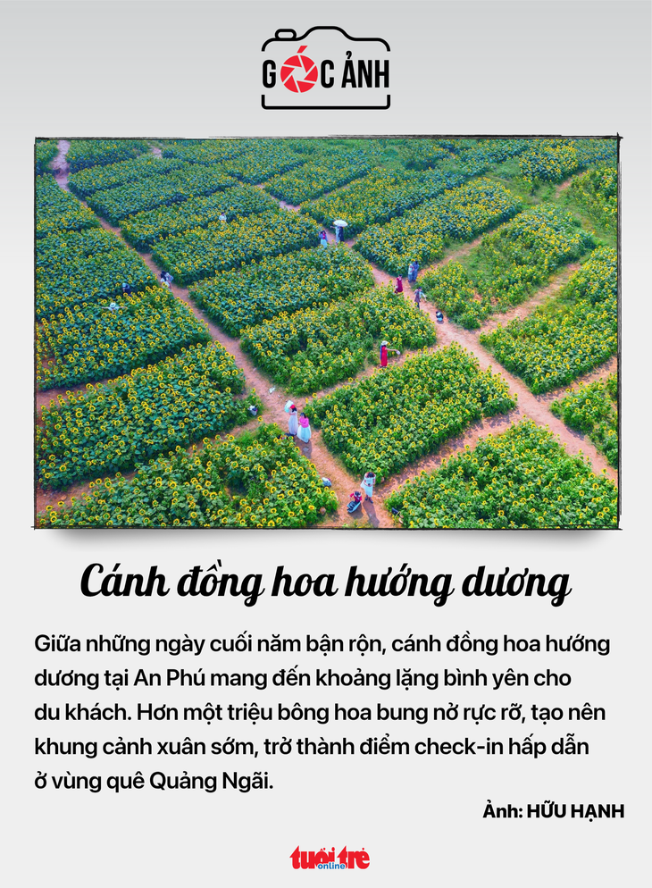 tin tức - Ảnh 7.